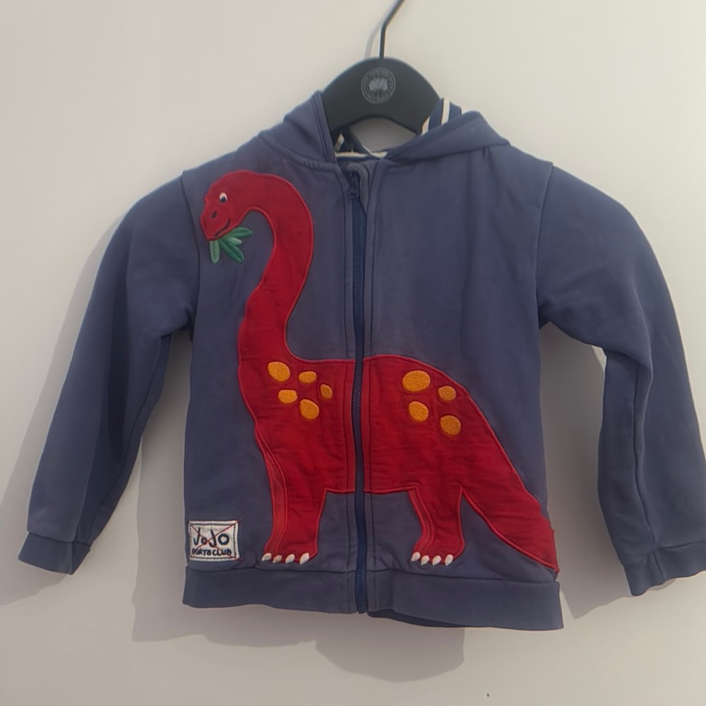 Blue Dinosaur Hoodie